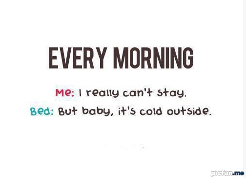every-morning.jpg