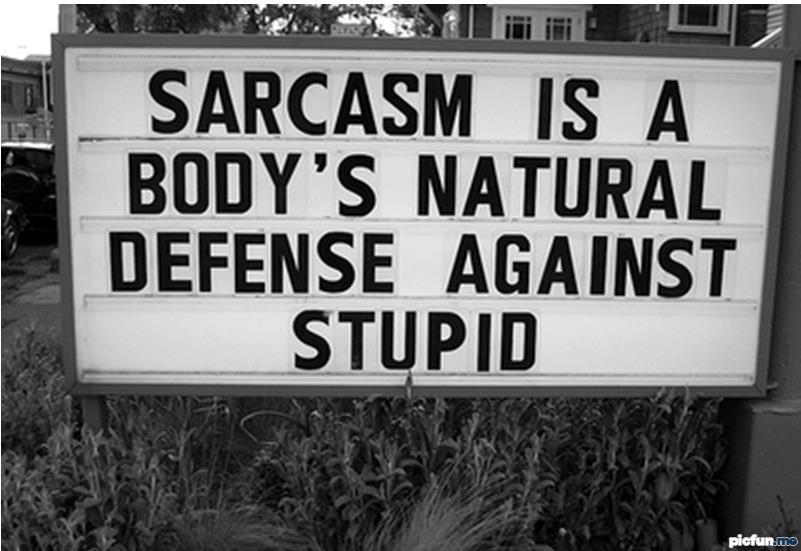 sarcasm-and-stupidity.jpg