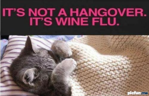 wine-flu.jpg