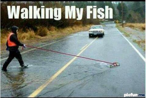 walking-my-fish.jpg