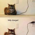 fully-charged.jpg