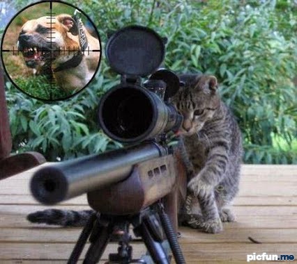 real-sniper.jpg