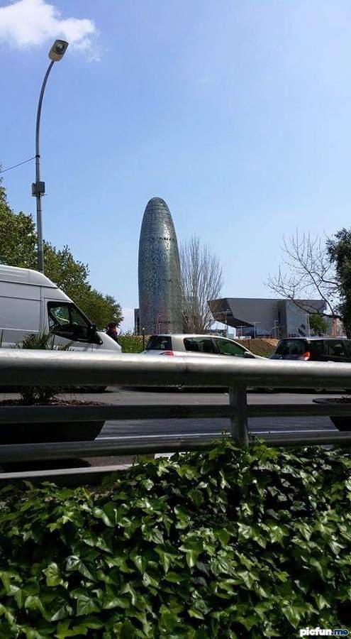 this-is-not-dildo.jpg