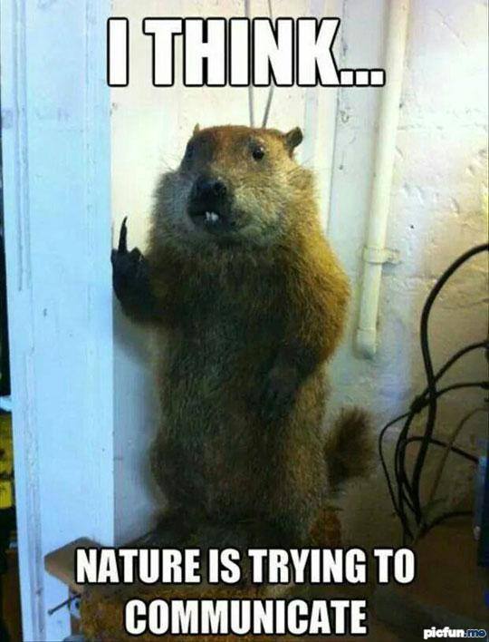 nature-response.jpg