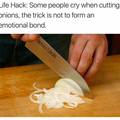 do-not-form-emotional-bond-with-an-onion.jpg