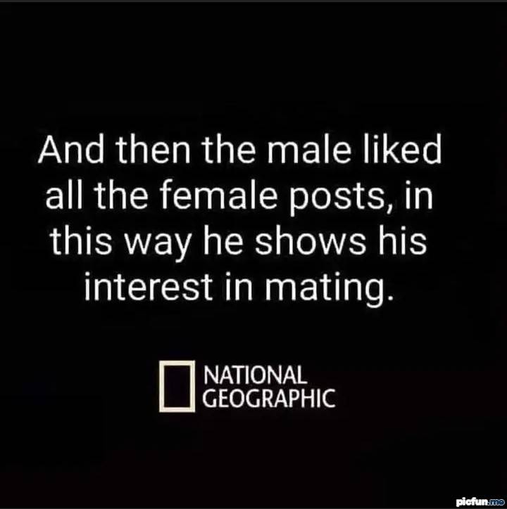 mating.jpg